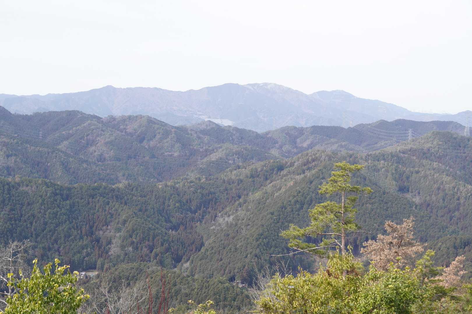 片知山・瓢ヶ岳・高賀山