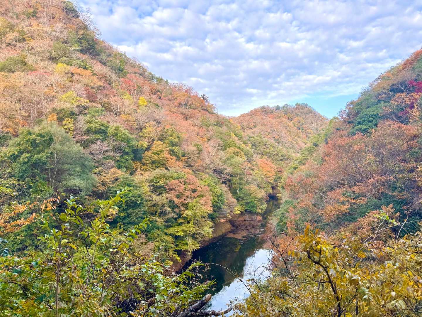 竜神峡の紅葉🍁