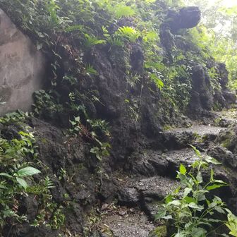 登山道、よく整備されている．．