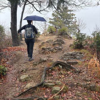 傘登山はあまりしないんですが、めちゃ楽！！
濡れないし〜サイコー

雨といえば、昨夏、裏銀座でひどいめにあった。ゆはちさんも雨の中でも結構ハードなコースを歩いてきた方。高機能レインウェアでも大雨かつ長時間で浸水してくることがよくわかった。
ビチョビチョの苦痛をわかっているからこそ感じる傘のよさ☂️
