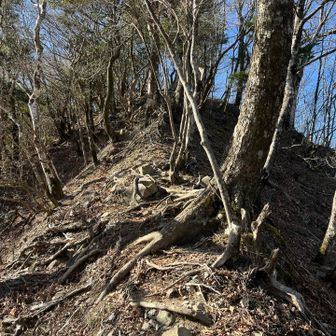 ここは痩せ尾根