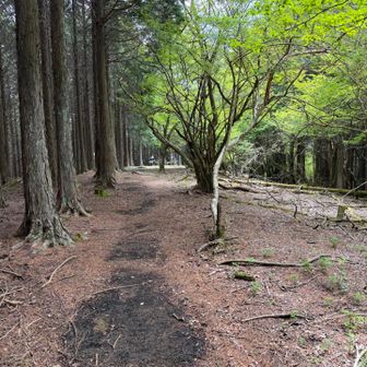 不老山の山頂が見えました