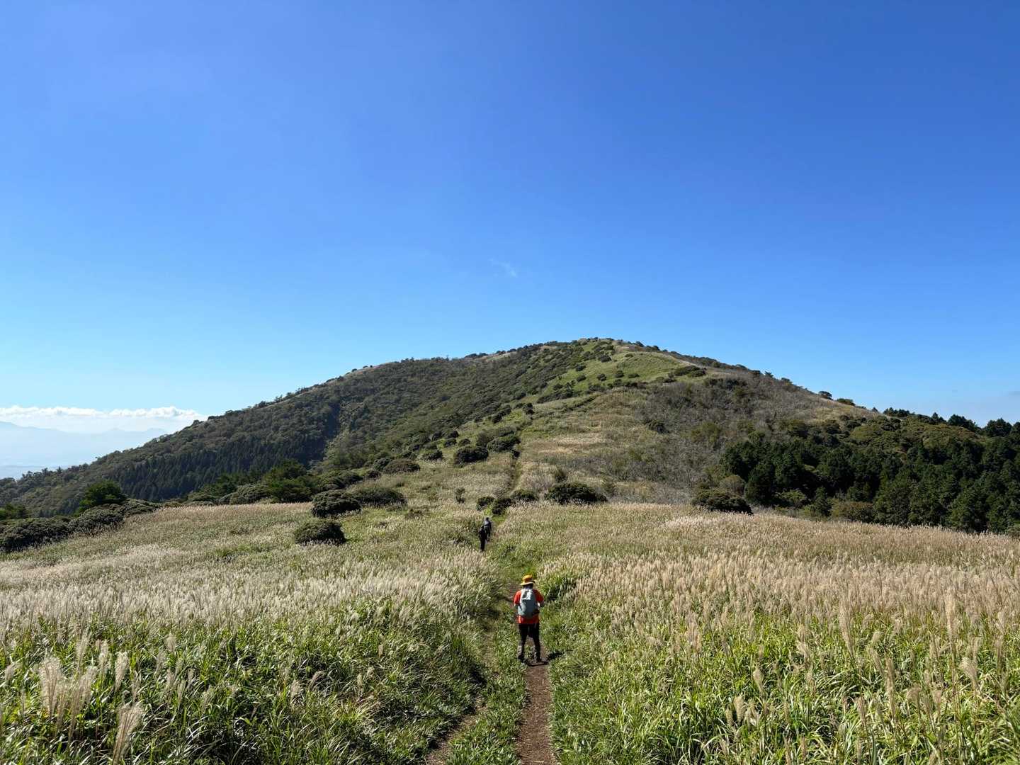 ススキ🌾海原を縫って猟師岳へ