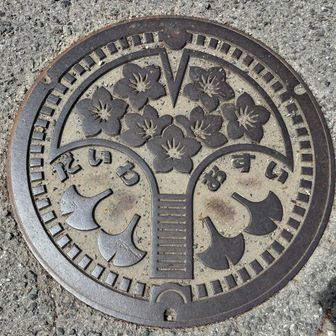三原市大和のデザインマンホール🕳️

大和町はかつて、広島県賀茂郡にあった町。2005年の合併で大和町は、三原市・豊田郡本郷町・御調郡久井町と共に「三原市」となりました。

デザインマンホールには、大和町（だいわちょう）の町木だったイチョウと、町花だった桃の花が描かれています。

のどかな風景と緑豊かな大和町には、ツーリングの休憩ポイントとなっている道の駅「よがんす白竜」や、春には花でいっぱいになる棲真寺公園があります。

また、中国横断自動車道の尾道松江線から、広島空港へのショートカットルートになる広島中央フライトロードの開通誕生した日本一のアーチ橋「広島空港大橋」を眺められる展望台もあります。
広島タベタインジャーより引用

↓広島タベタインジャーのリンク
https://tabetainjya.com/archives/mihara2/post_3577/