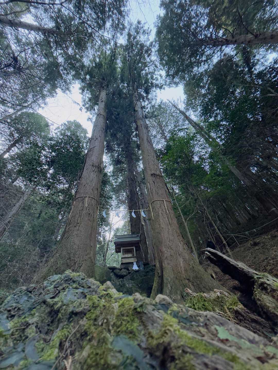 御岩山 往復コースの写真
