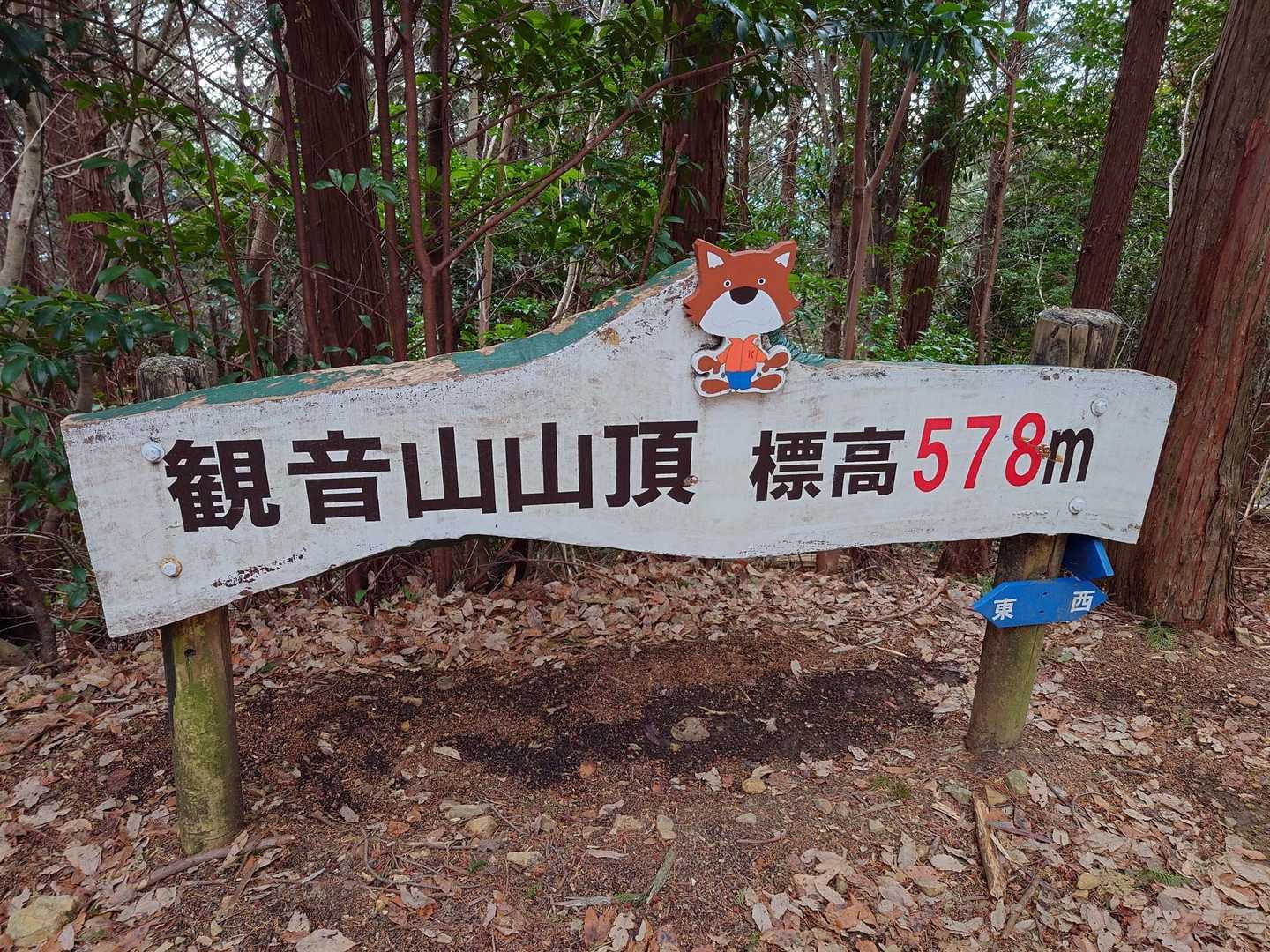 観音山 往復コースの写真