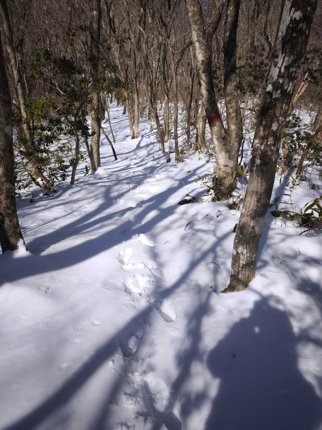 いわき市 いわきの里 鬼ヶ城-鬼ヶ城山登山口-鬼ヶ城山 周回コースの写真