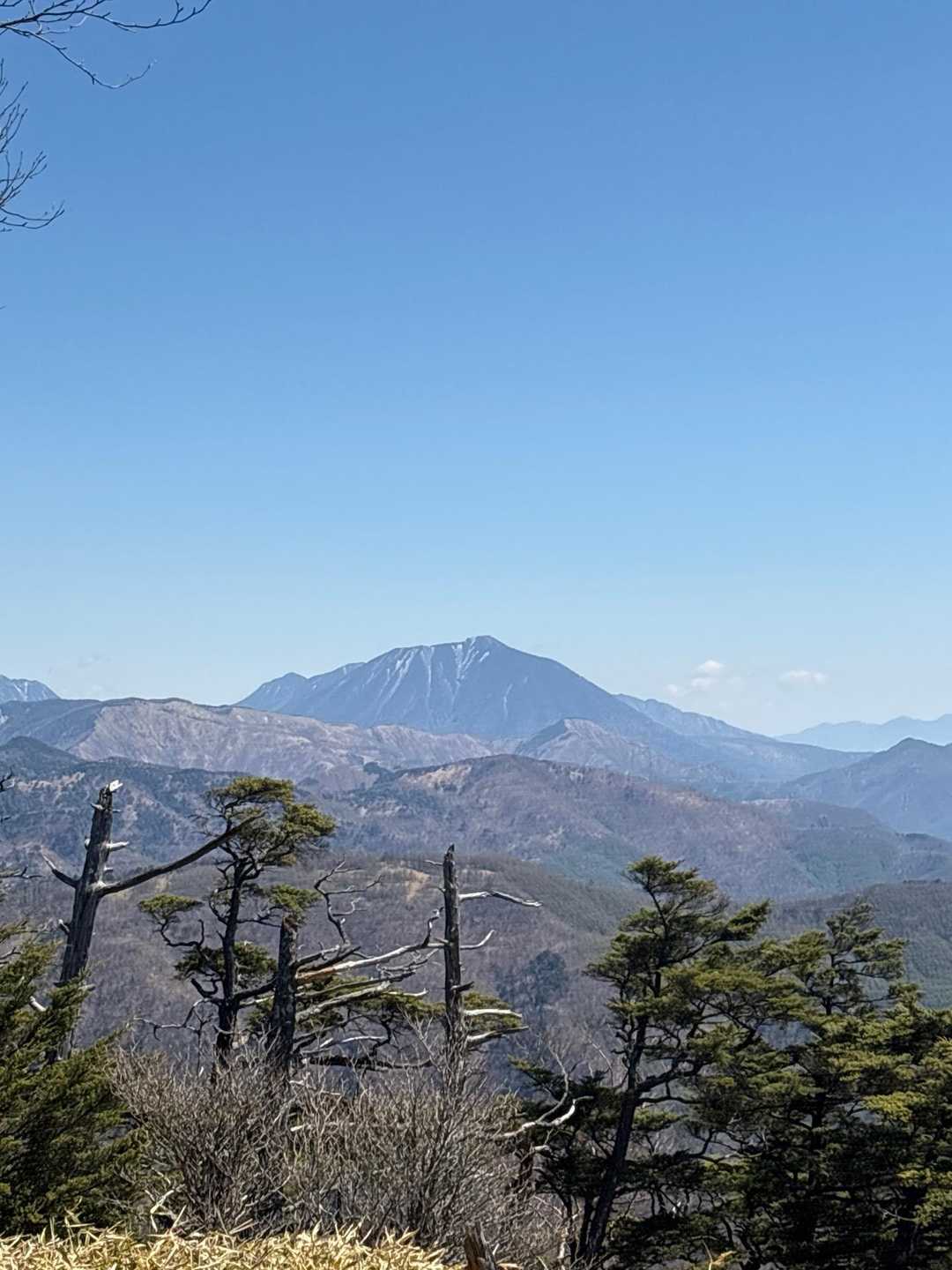 塔ノ沢登山口-小丸山-　 往復コースの写真