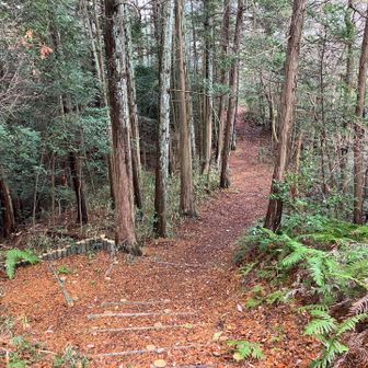 左手には天神社があるみたい