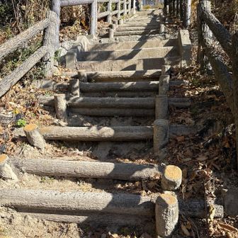 やっと山に入ります
今度は階段で中々の急登