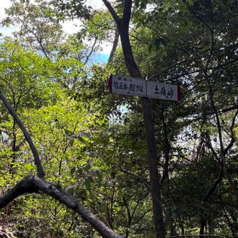 ピンテと地図で間違わないように進む