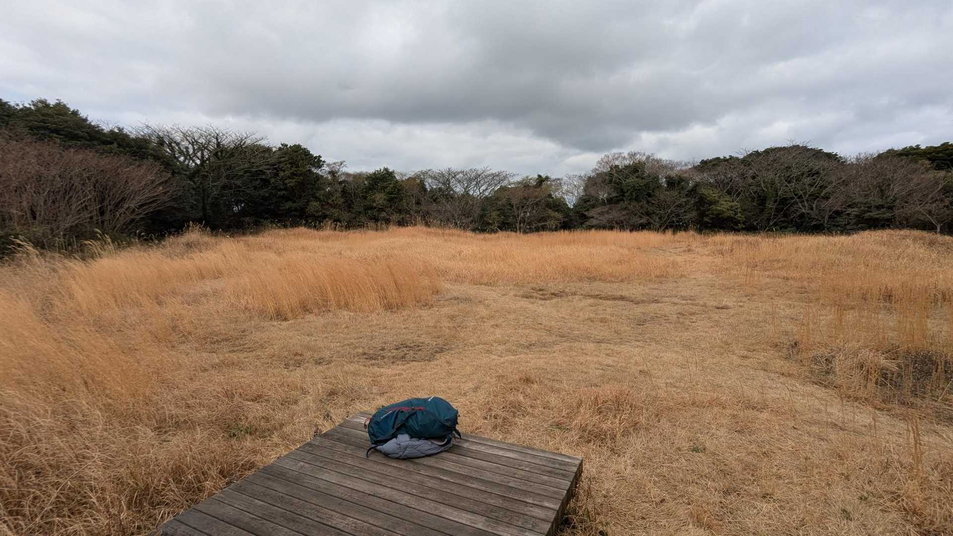 山頂はこんな感じの原っぱ！開放感あります。眺望は❎️