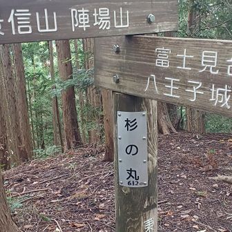 杉の丸