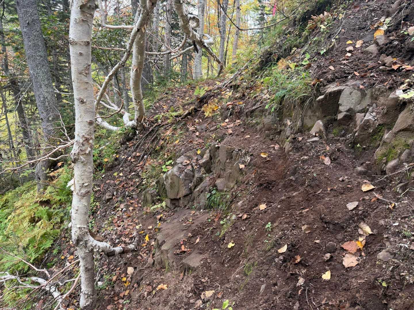 登山道崩れ落ちてます😅