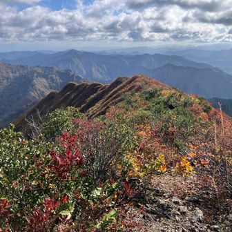 らくだのこぶみたい

地図によるとこちらには玄人向けの町未整備の道があるようだ