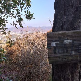 ３座目、高尾山に登頂 ＼(^o^)／
東屋が有りました。（人がいて写真無しです）
地元の方々がたくさん寄っていました。
気軽に登れるハイキングコースです。