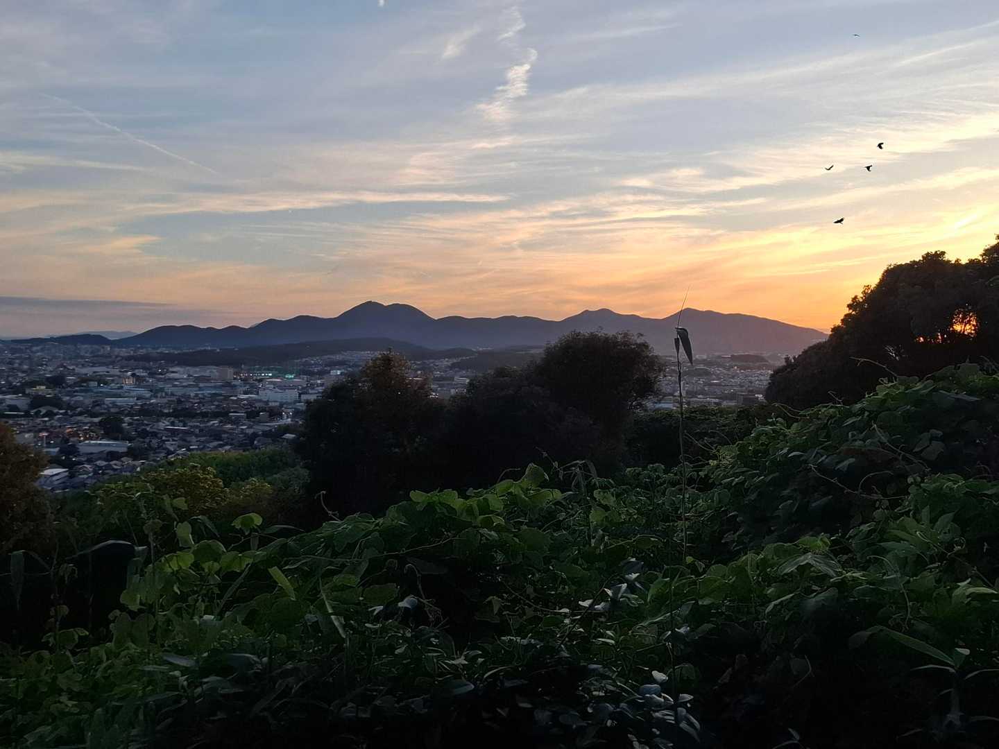 神園山-小山諏訪神社-小山山 周回コースの写真
