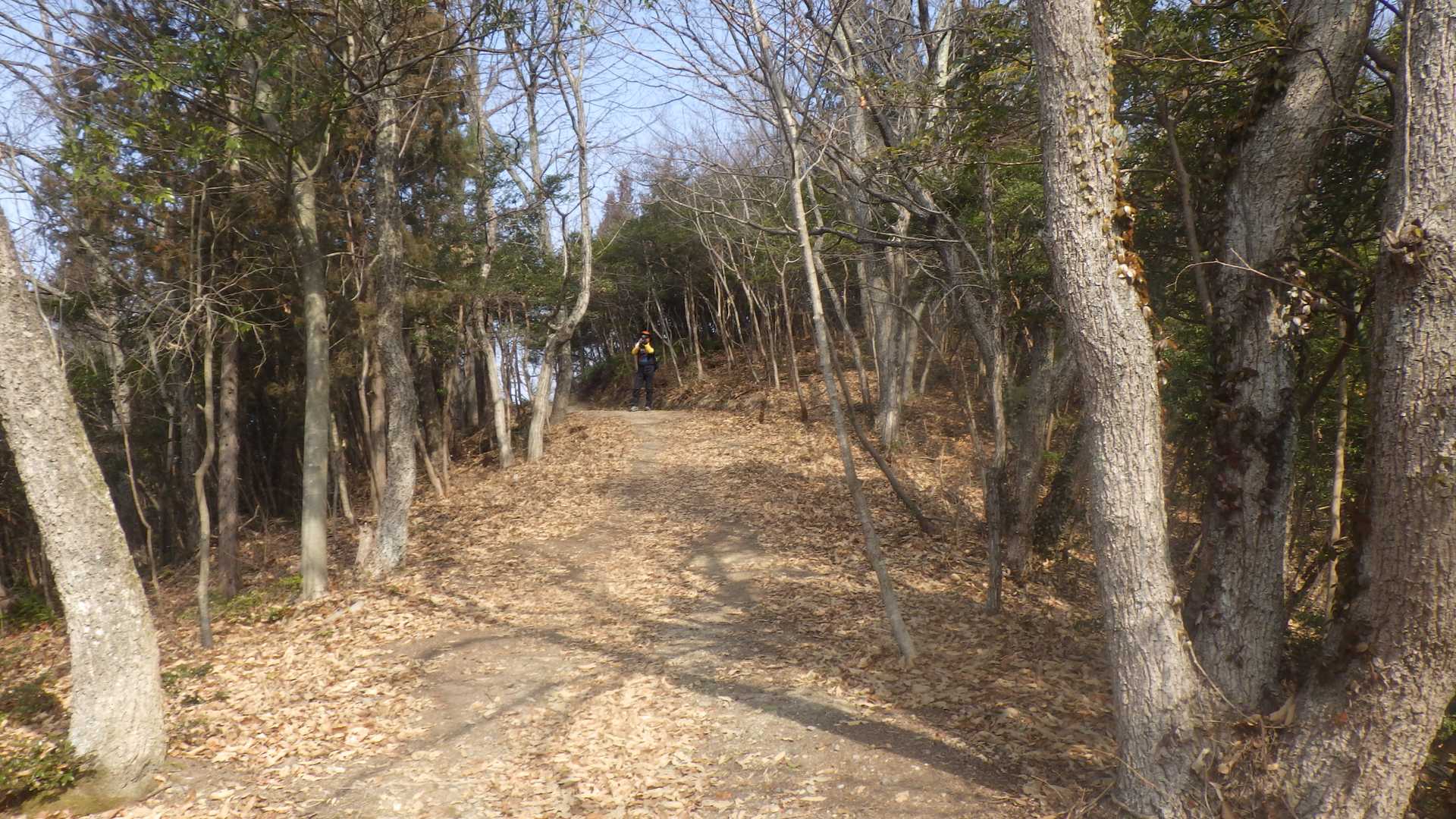 大山峠-奥山-大山-青影山 周回コースの写真