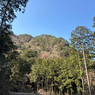 1番岩🪨、2番岩🪨（奥）カモシカ岩🪨などの怖〜い岩場が見える。
ここは怖そう😅