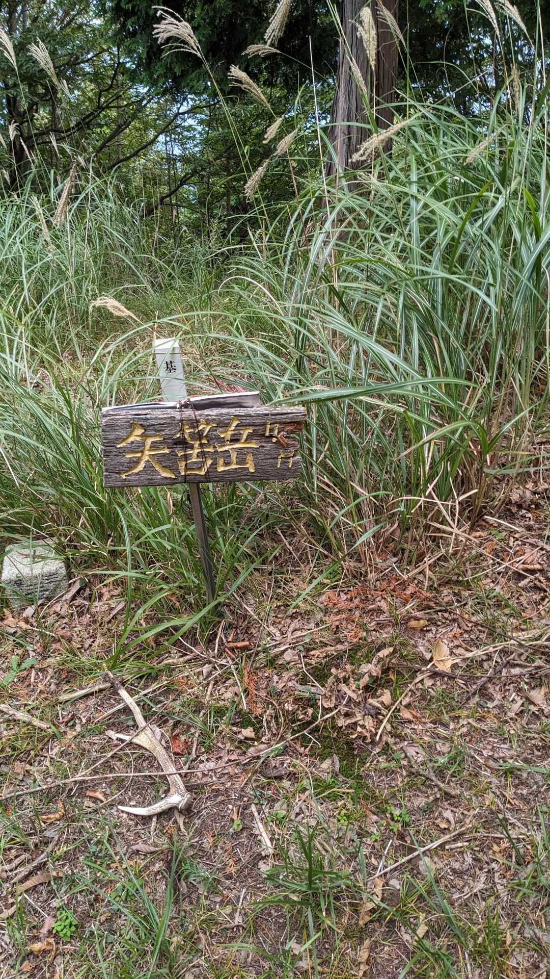 矢筈岳山頂到着　急登のためウオーミングアップにならず眺望もなくちょっと残念😅