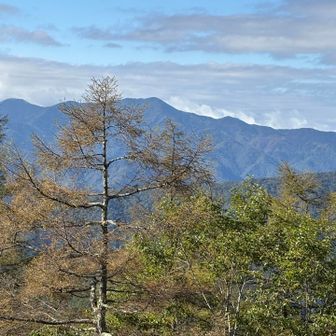 大菩薩嶺も見えます😊　暑くもなく、寒くもない丁度良い気候です。