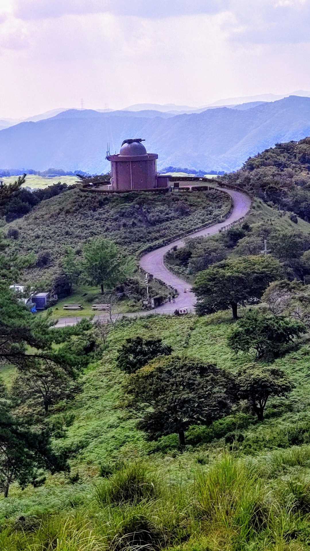 上の山-大野山 周回コースの写真