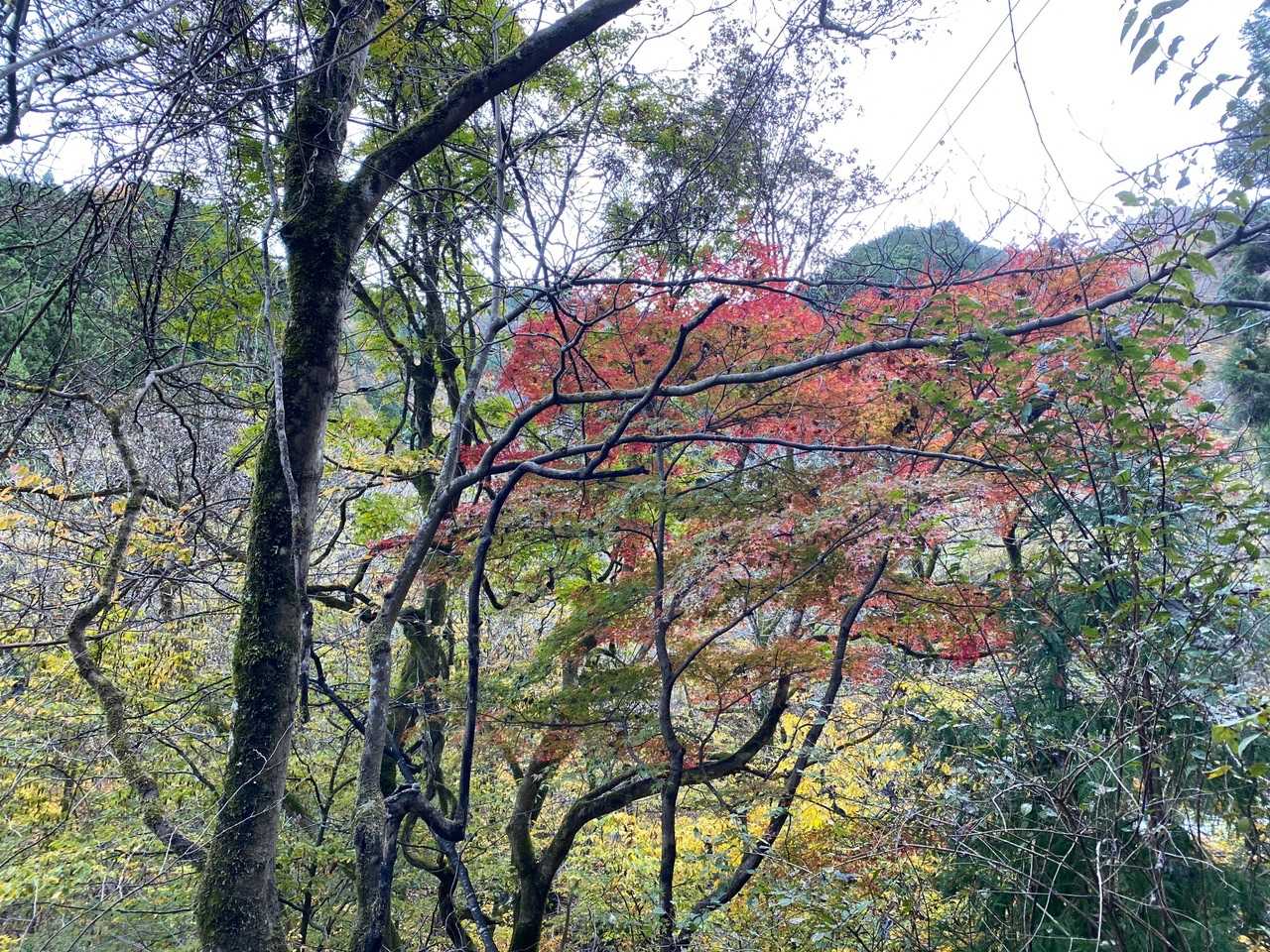 やっと下ってきた感じ