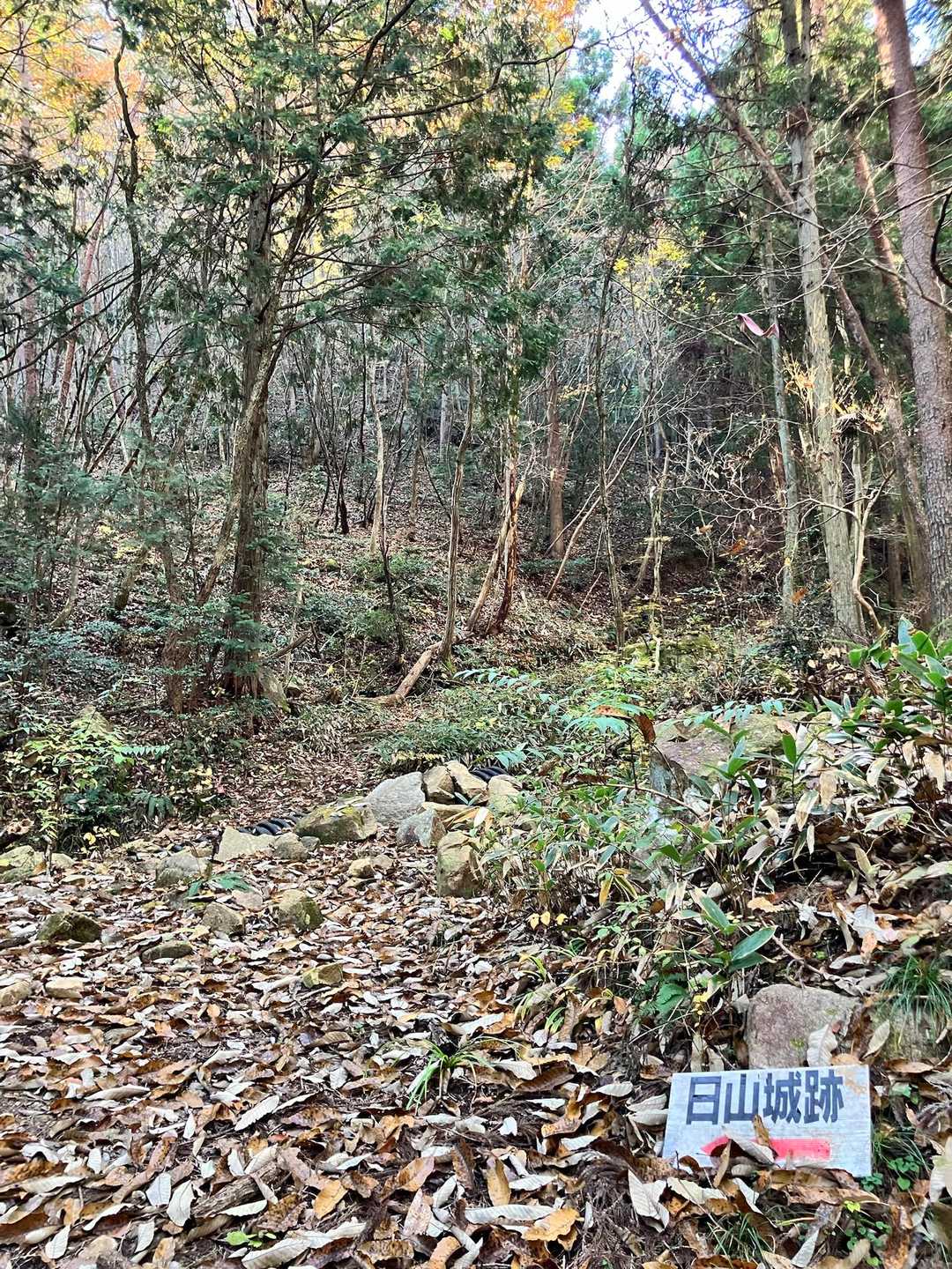 ここから沢沿いの道