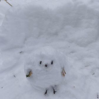 シマエナガ作ってみた♪