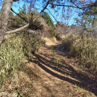 東おたふく山へ