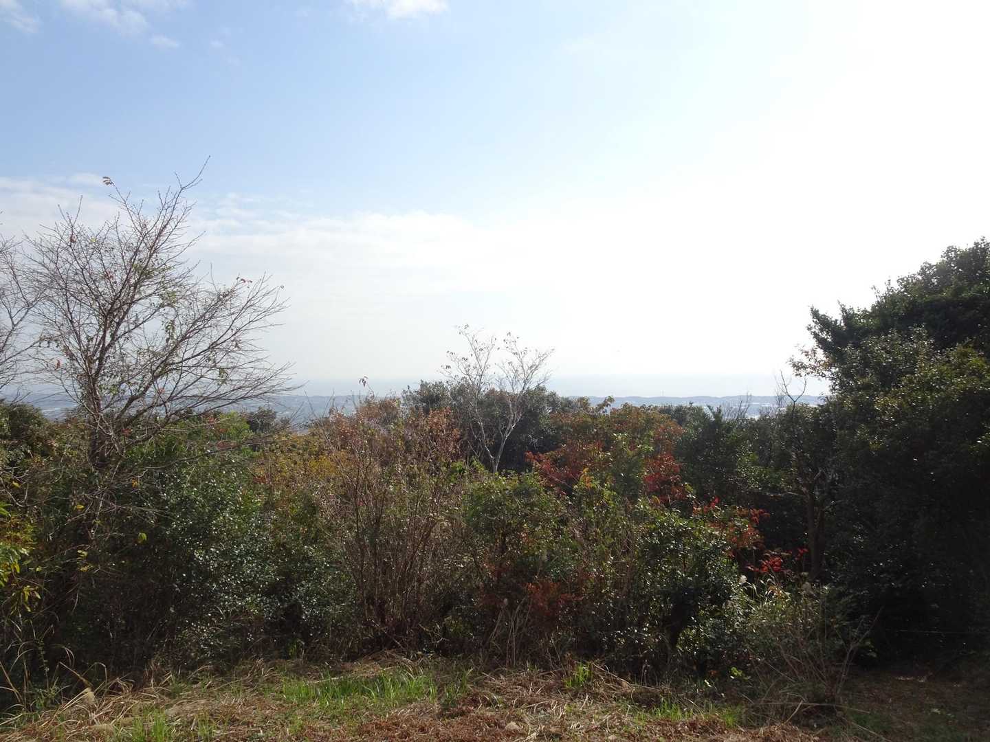 庄十山-藤尾山-中西山-衣笠山 周回コースの写真