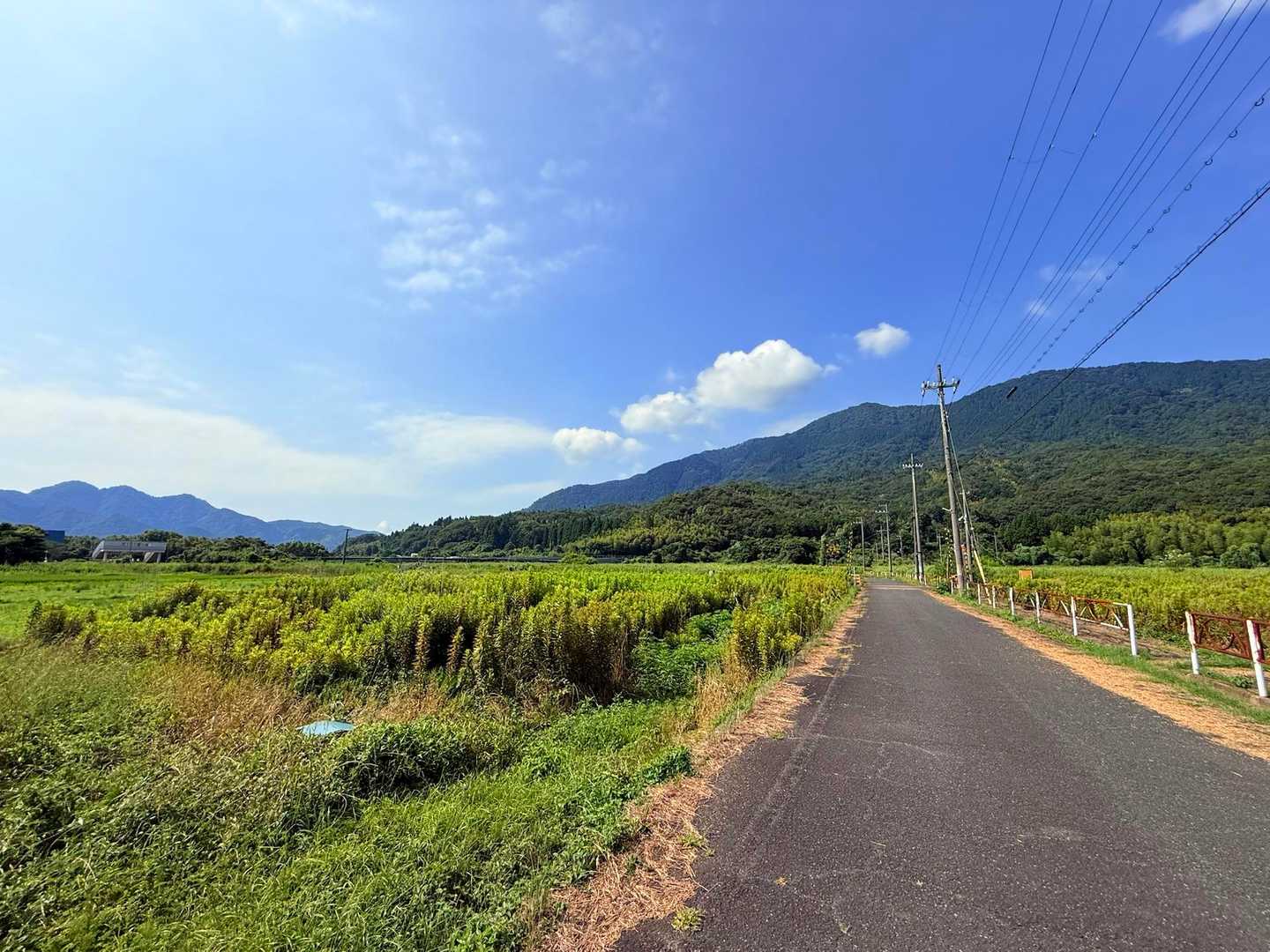 登山口までのアスファルト道