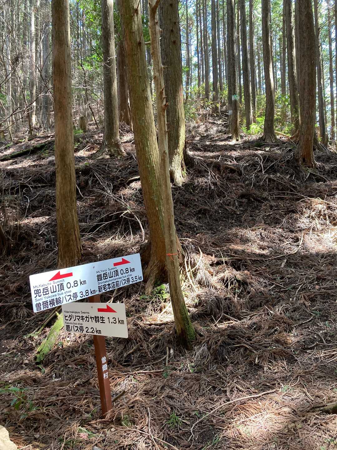 逢坂峠に着きました。
