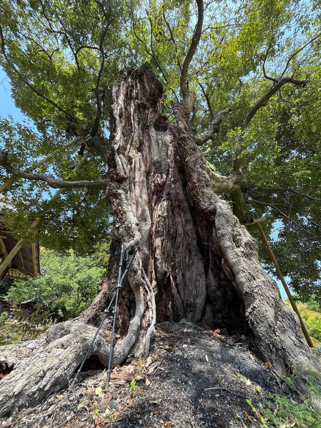 コレで生きてるの😳😳😳