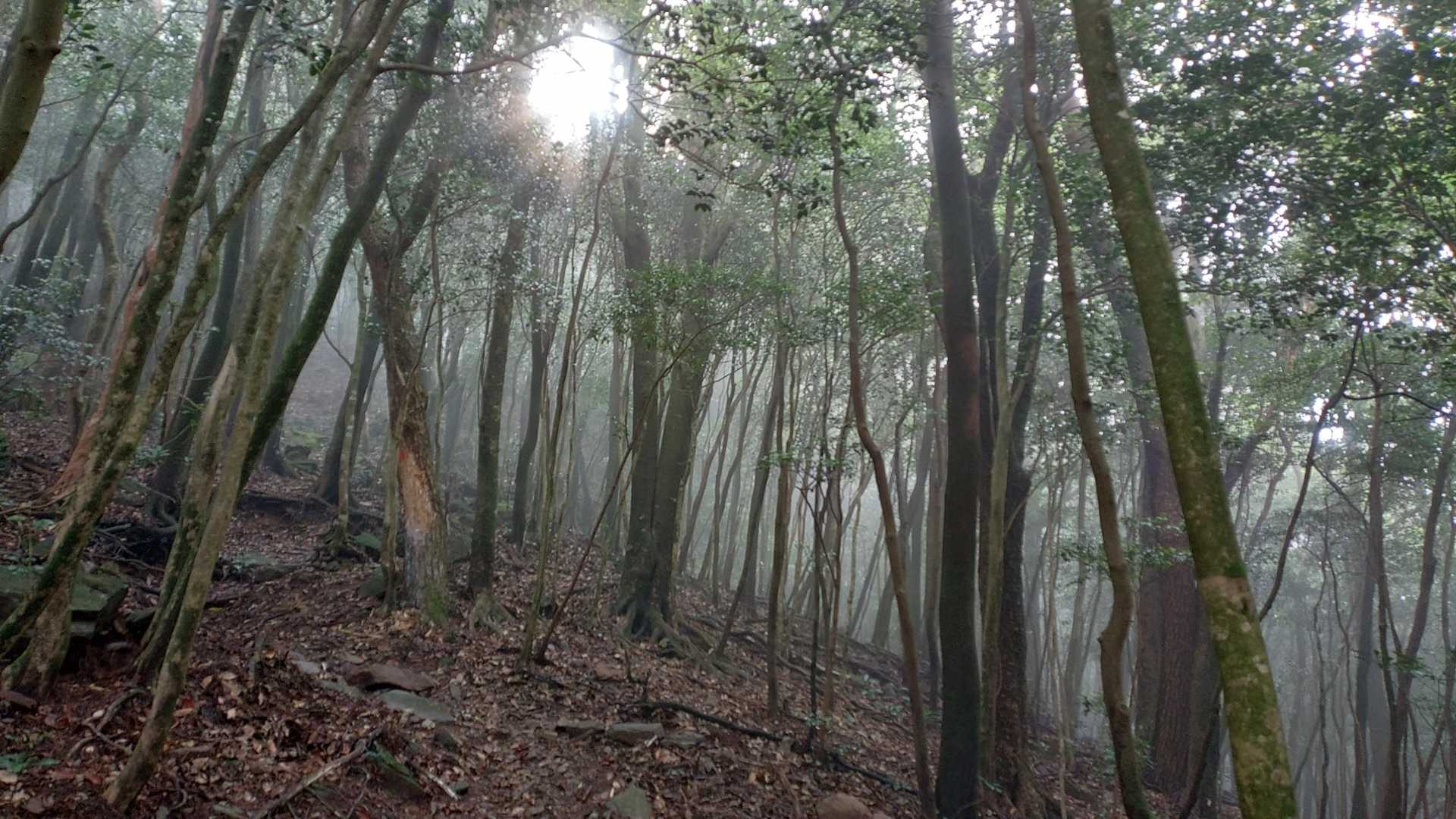 奥平谷キャンプ場-経ヶ岳 往復コースの写真