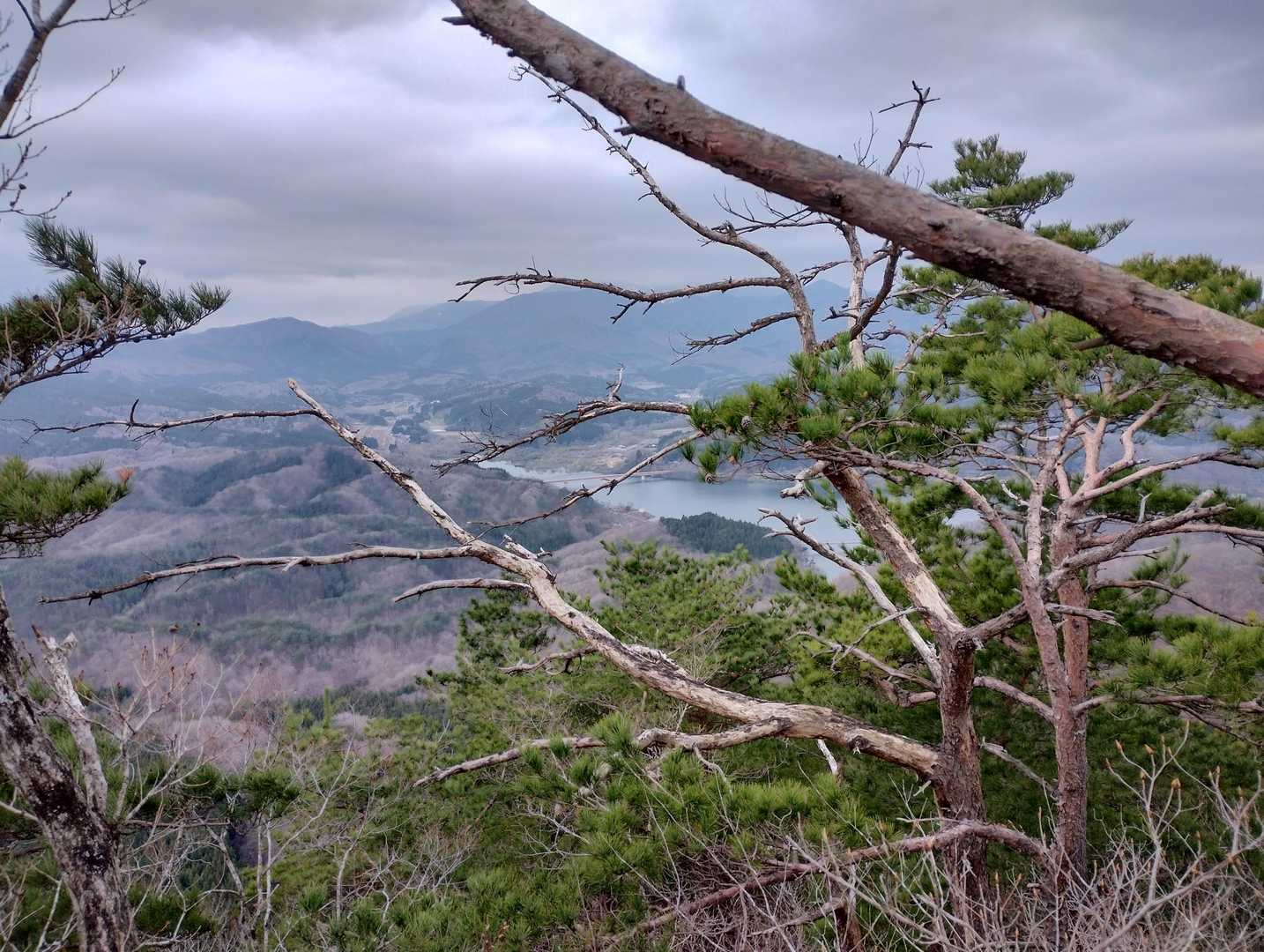 信楽寺跡登山口-松倉山-撫倉山 周回コースの写真