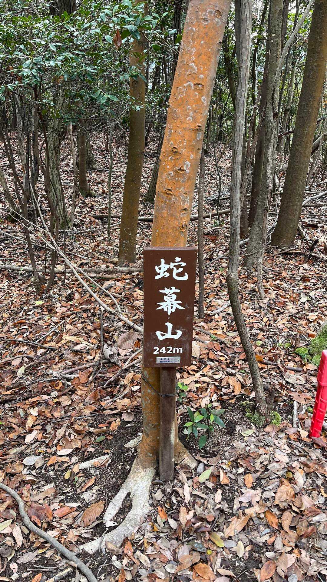 岩滝山-蛇幕山 往復コースの写真