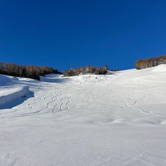 さぁ、どんどん登りますよー！
シュプールが綺麗です！