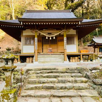 綺麗になってる