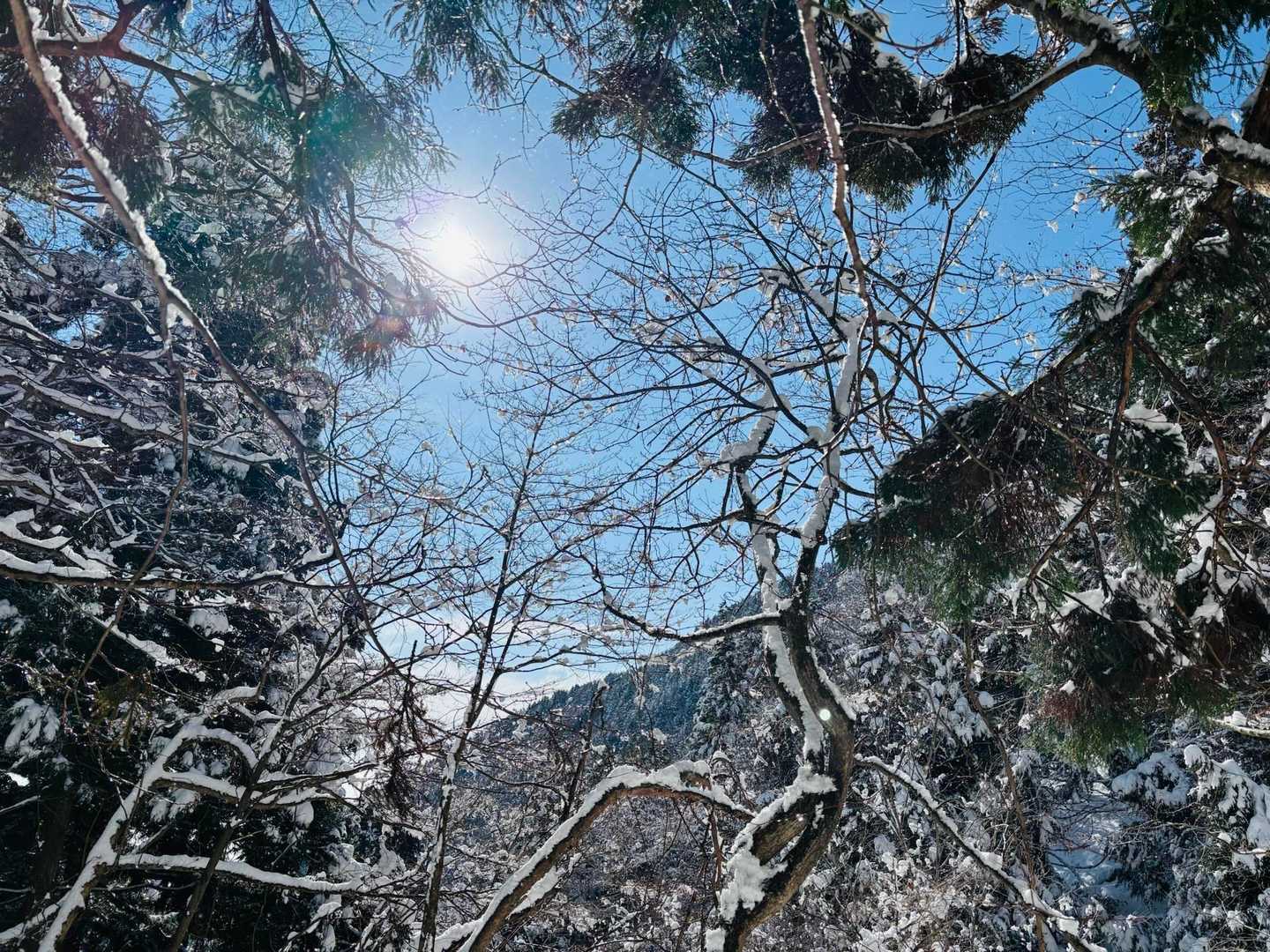 キラキラ