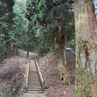 ここから登山道です😁