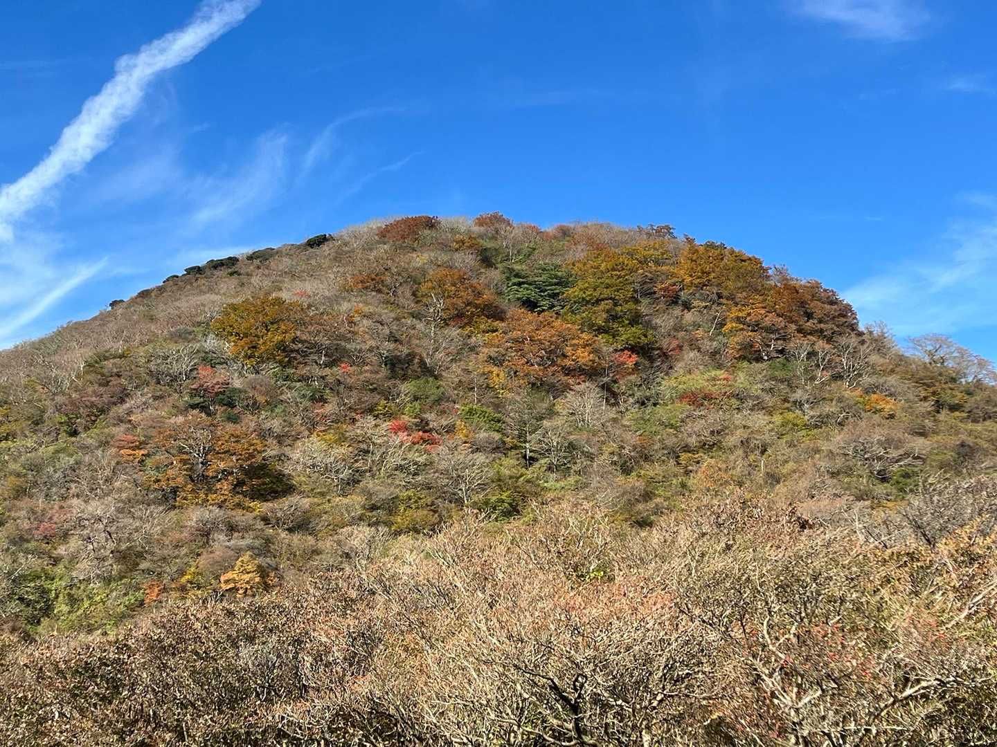 紅葉が美しい🍁
