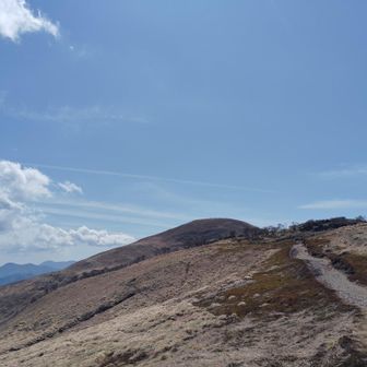 見えてるで〜🧐