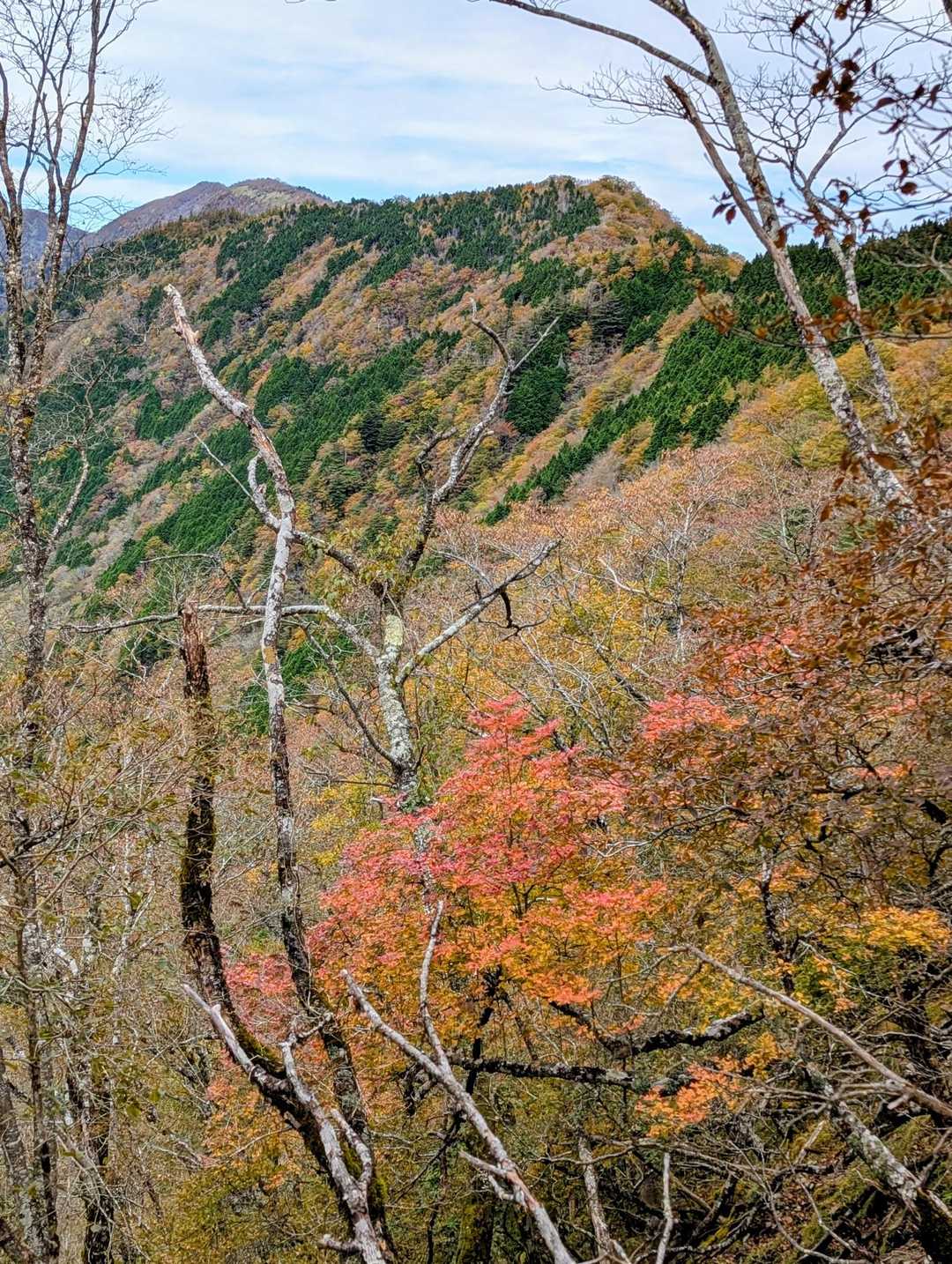 歩いてきた稜線
わずかに頭がのぞいているのは下十枚山かな…