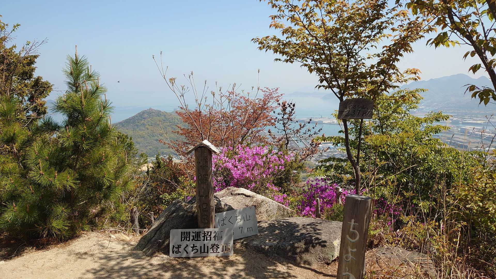 ばくち山登山口-博智山 往復コースの写真