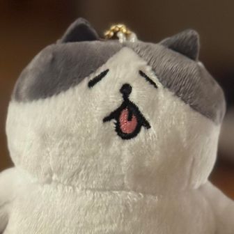 きむち
