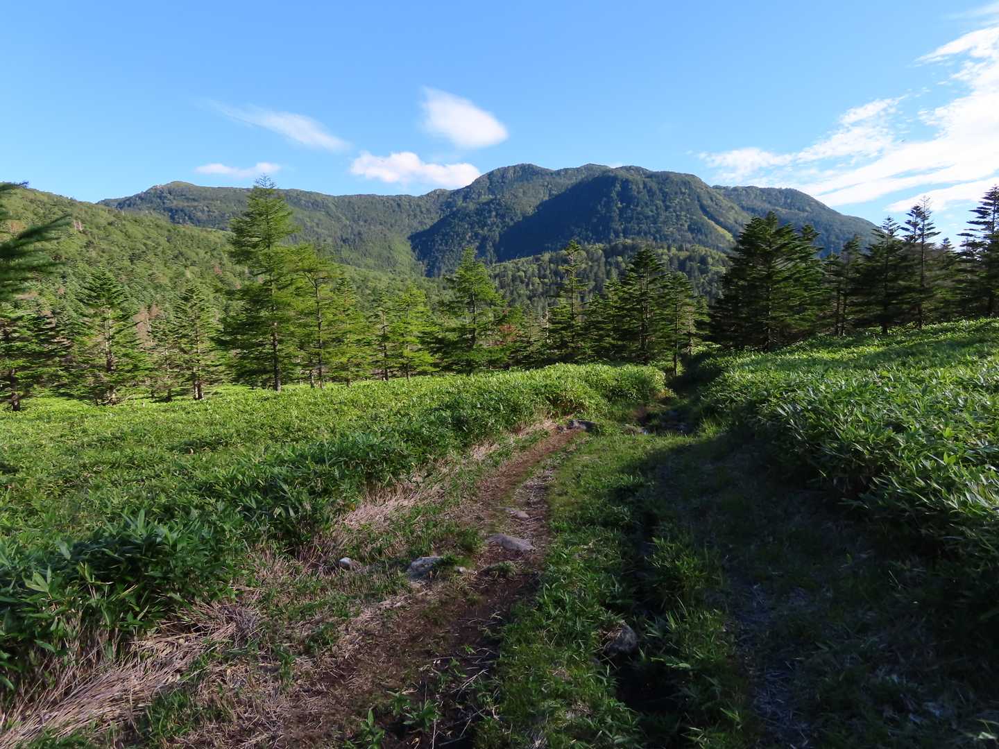 振り返ると大岳･北横岳