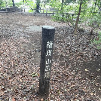 権現山の山頂