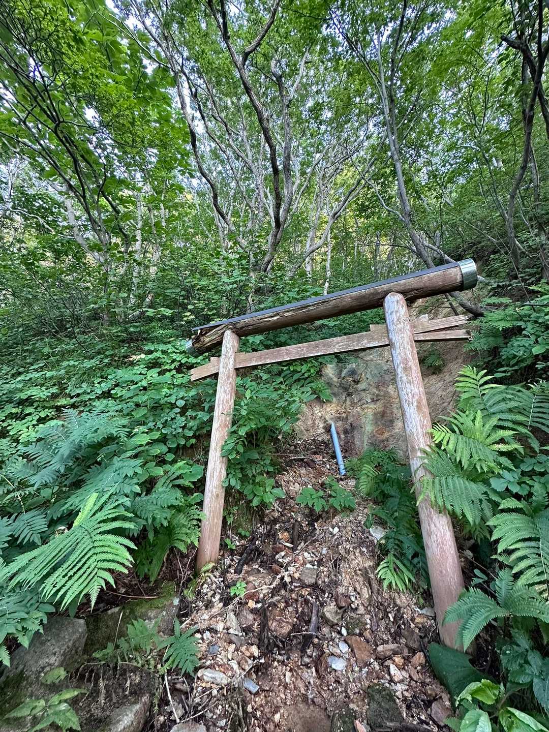 赤岩山-下赤岩山-下赤岩山登山口 縦走コースの写真