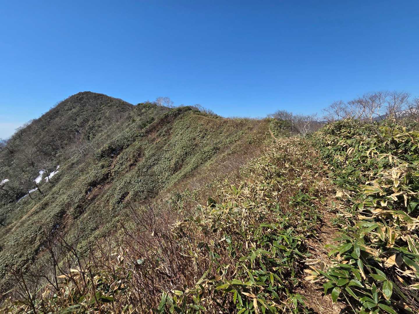 稲包山は森林限界なので最高の稜線歩きを楽しめます
（新潟県側は樹木あります😅）